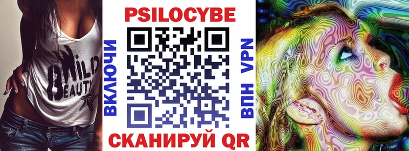 Галлюциногенные грибы Psilocybe  Купить закладки  Шарыпово 